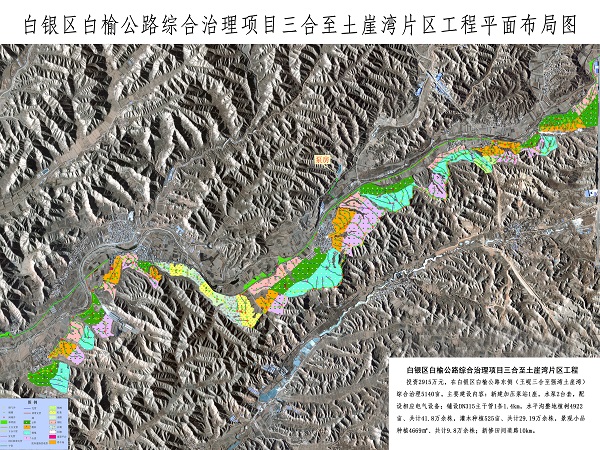 白榆.jpg