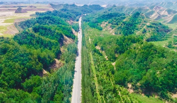 QQ图片20210326163429.jpg