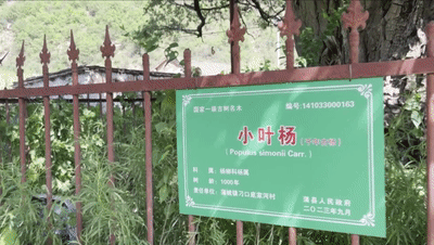 10.gif