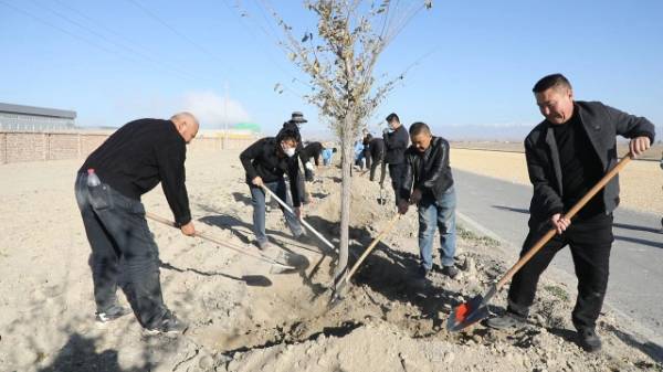 1761528927715015.jpg 2 (1).jpg