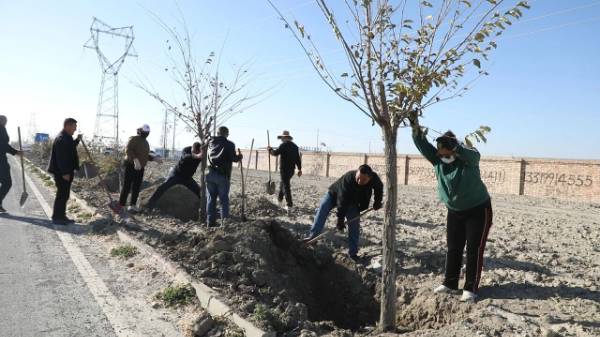 1761528935839436.jpg 3 (1).jpg