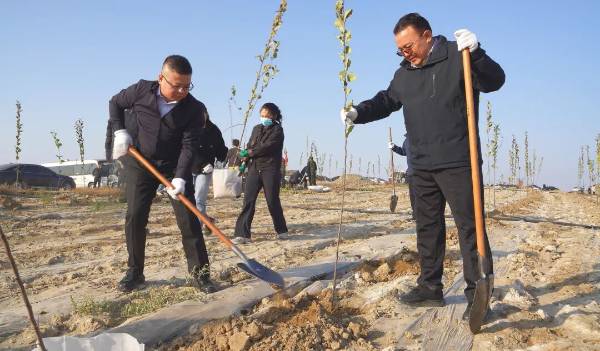 1761529111752460.jpg 5 (1).jpg