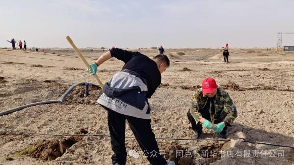 1761705390390705.png 3.png