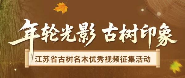 1761706669663066.jpg 1 (1).jpg