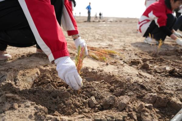 1761793330561622.jpg 2.jpg