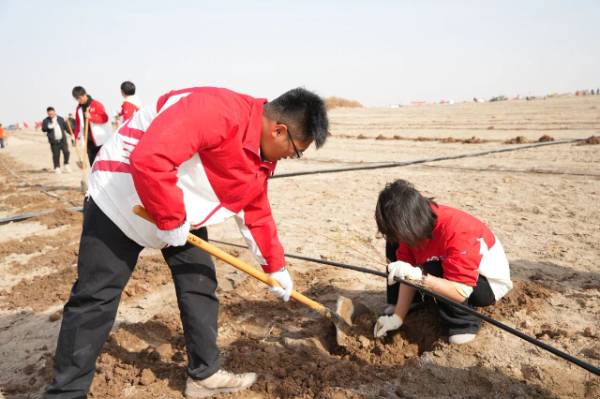 1761793336792665.jpg 4.jpg