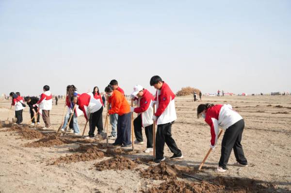 1761793340567715.jpg 5.jpg