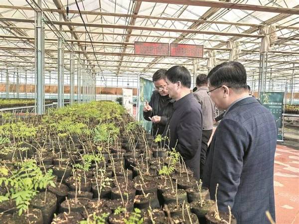 1762238886353493.jpg 5 (1).jpg