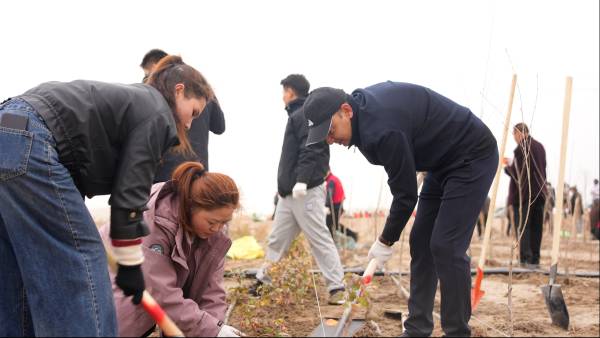 1762411524168360.png 2.png