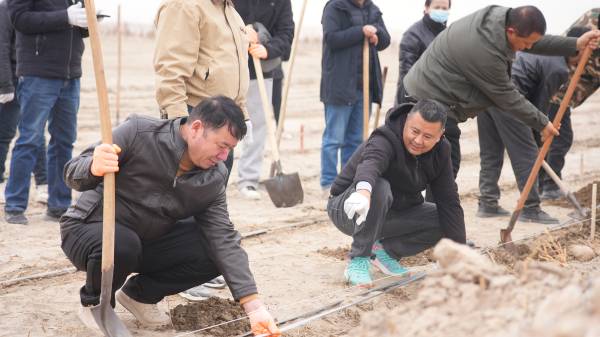 1762411538411945.png 4.png