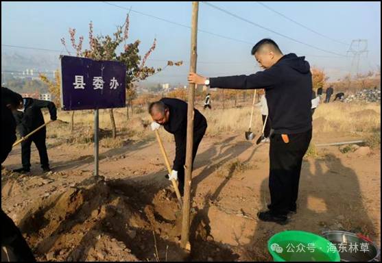 1762412100122134.jpg 1762412100122134.jpg