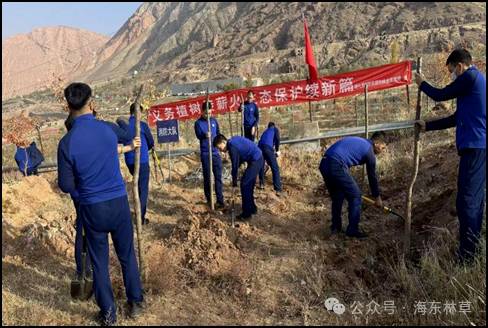 1762412107391571.jpg 1762412107391571.jpg