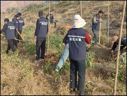 1762412124956639.jpg 1762412124956639.jpg