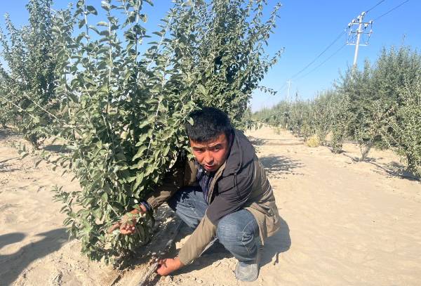 1762740214240592.jpg 2.jpg