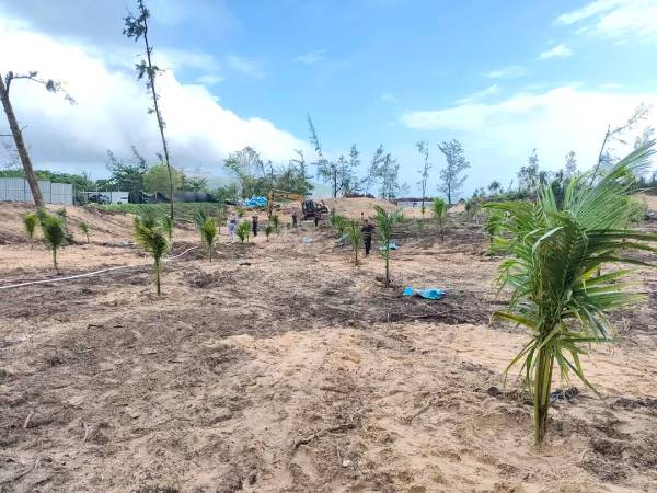 1762740803718984.jpg 7.jpg