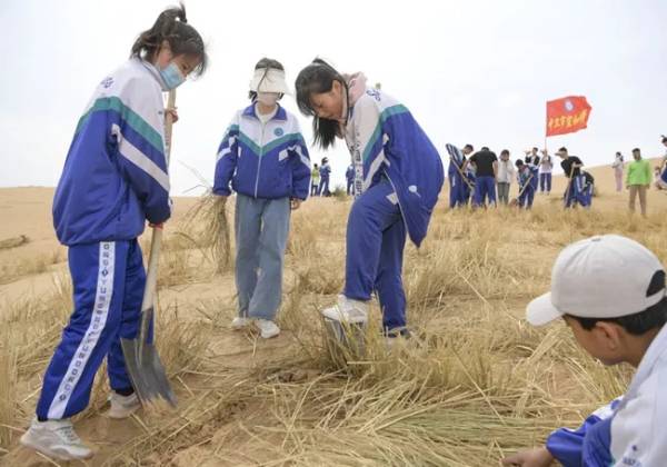 1762827688974810.jpg 1 (1).jpg