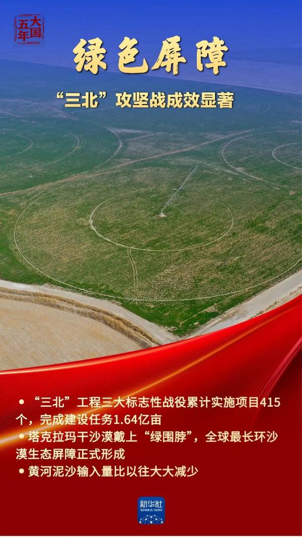 1762828423955349.jpg 4.jpg