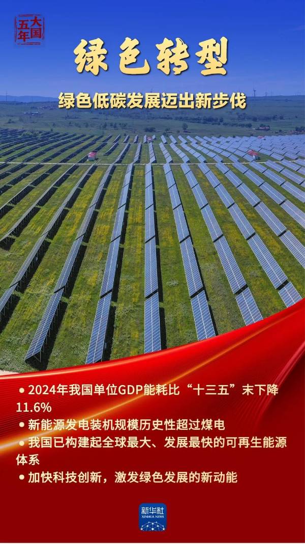 1762828427588781.jpg 5.jpg