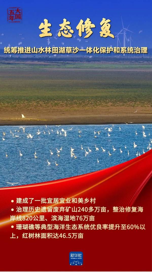 1762828436138041.jpg 8.jpg