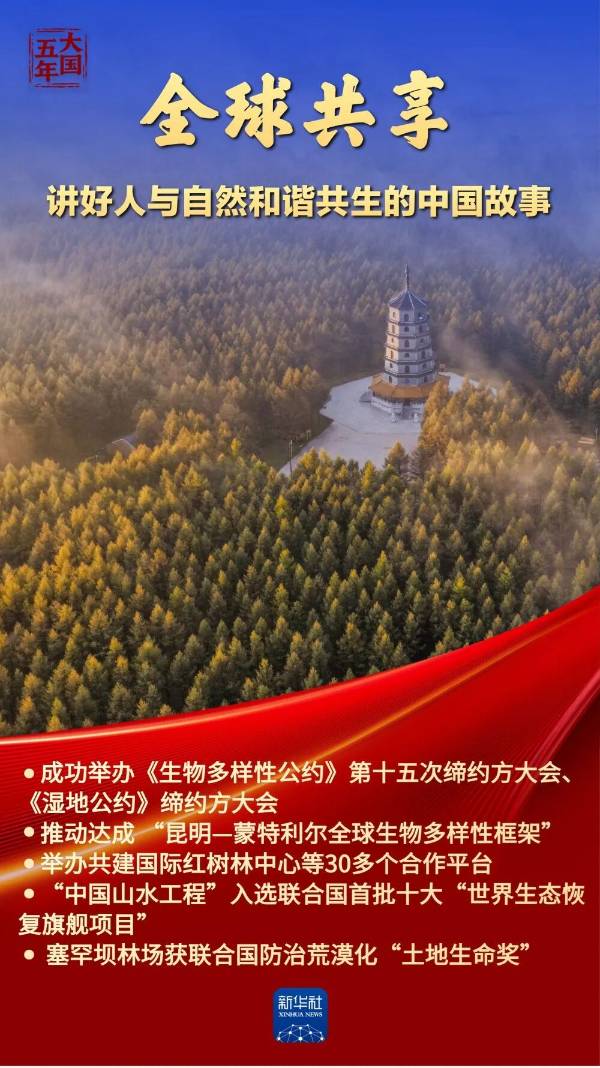 1762828440441398.jpg 9.jpg