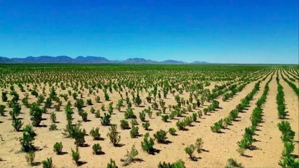 1762828783665411.jpg 1 (1).jpg