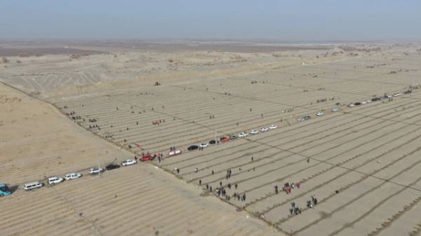 1762829489576169.jpg 4 (1).jpg