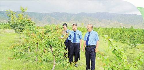 1762914514578849.jpg 8 (1).jpg