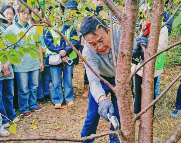 1762915406604387.jpg 8.jpg