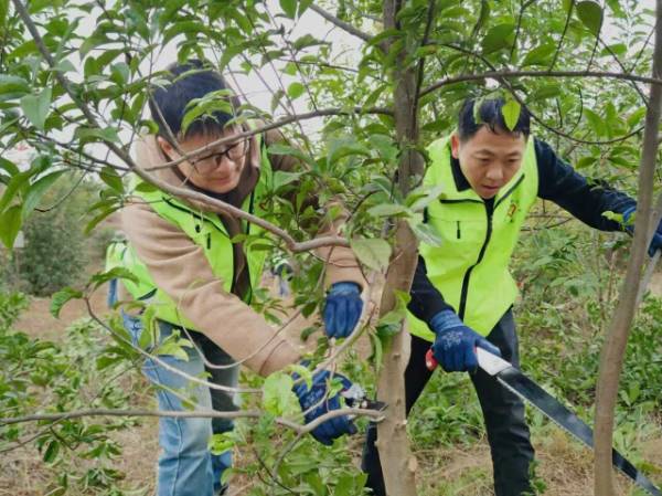 1762915433570210.jpg 9.jpg