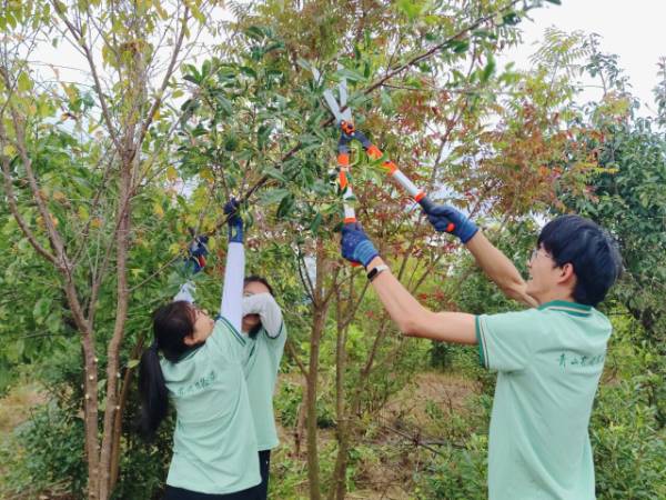 1762915471174705.jpg 10.jpg