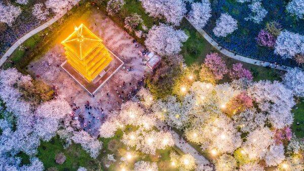 1763017134366745.jpg 3.jpg