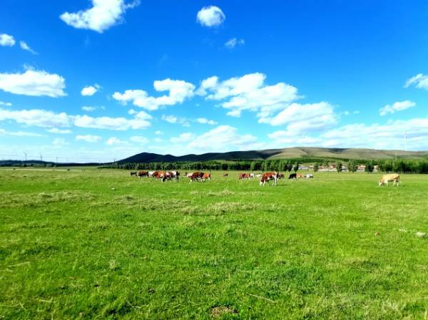 1763017205959844.png 5.png