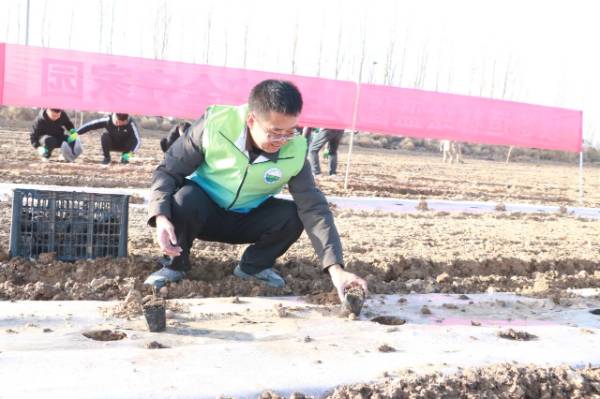 1763017338621488.jpg 10.jpg