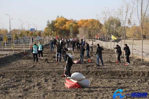 1763017732739441.jpg 15 (1).jpg