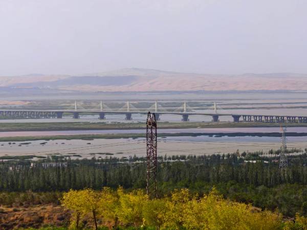 1763017946998739.jpg 17.jpg