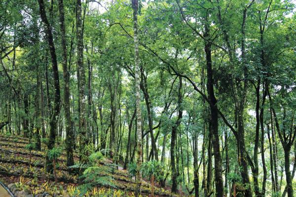 1763099637302565.jpg 2 (1).jpg