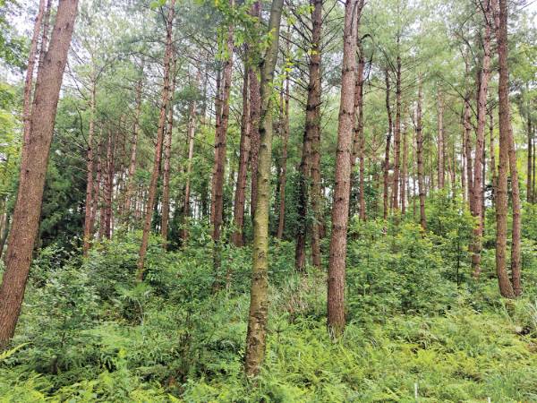 1763099648943895.jpg 1 (1).jpg