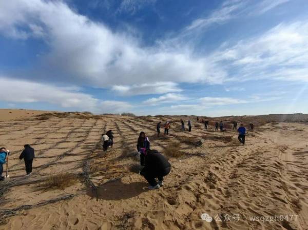 1763100863724047.jpg 4.jpg