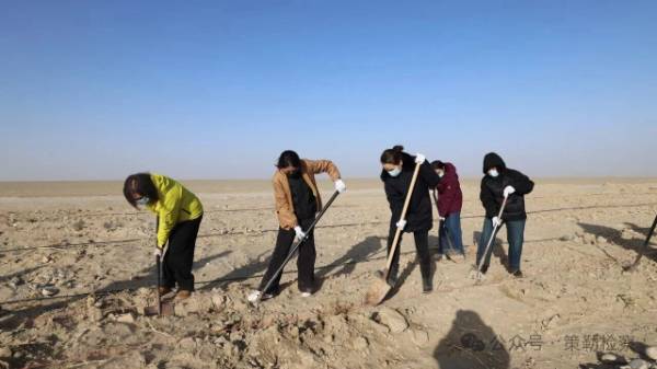 1763101159115052.jpg 7.jpg