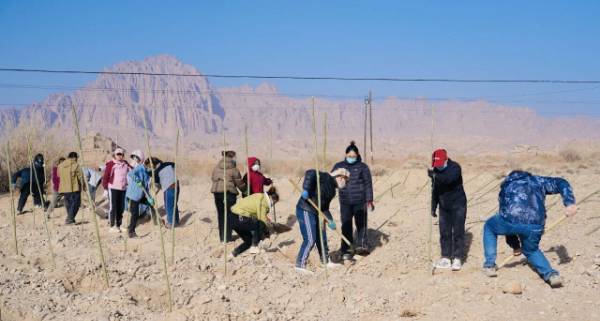 1763101509331448.jpg 12.jpg