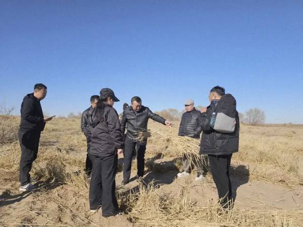 1764310547373457.jpg 8.jpg