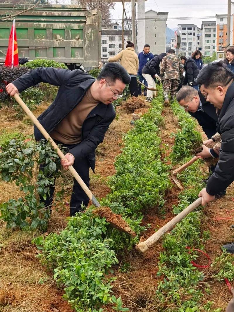 1770357054150110.jpg 1.jpg