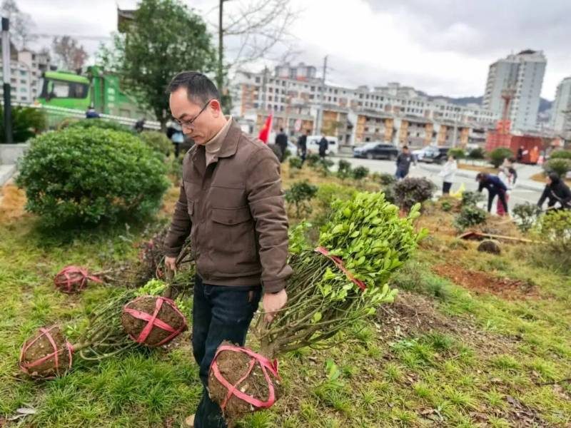 1770357101596848.jpg 4.jpg