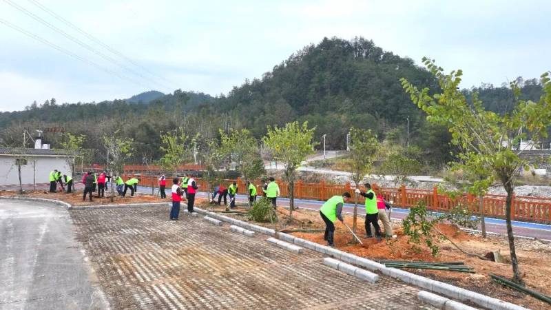 1772084962918212.jpg 3.jpg