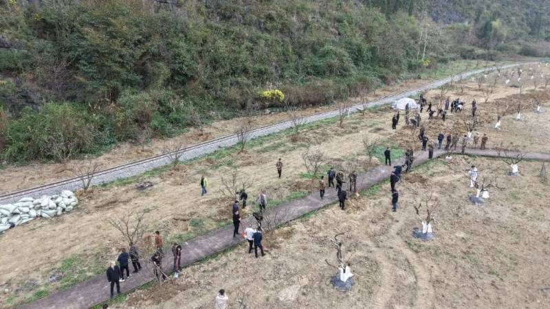 1772436708373396.jpg 4.jpg