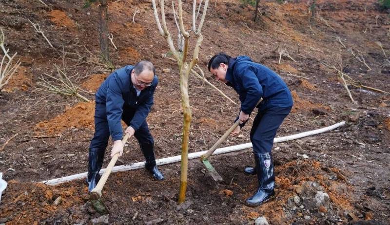 1772437342312343.jpg 19.jpg