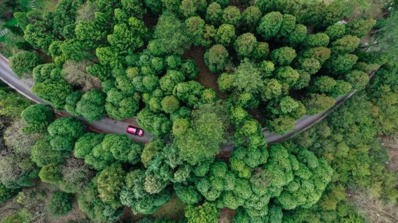 1772437394580023.jpg 22.jpg