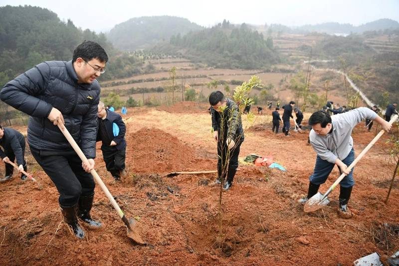 1772498834528561.jpg 19.jpg