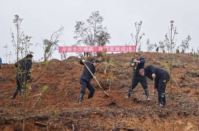 1772498848905378.jpg 20.jpg