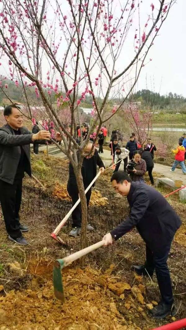 1772499601265038.jpg 4.jpg